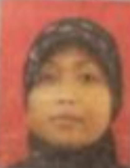 ANA SULISTIYOWATI