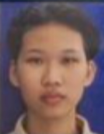 VINESIA PRAHESTI ADIYANING TIYAS